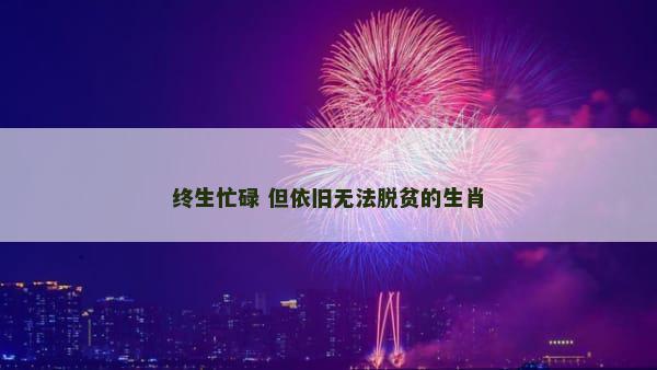 终生忙碌 但依旧无法脱贫的生肖