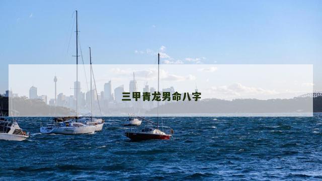 三甲青龙男命八字