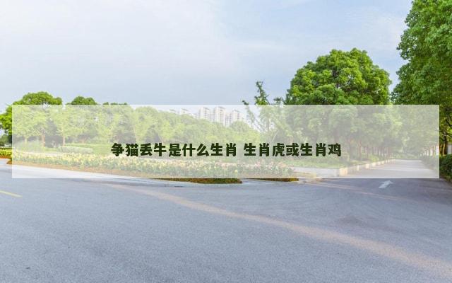 争猫丢牛是什么生肖 生肖虎或生肖鸡