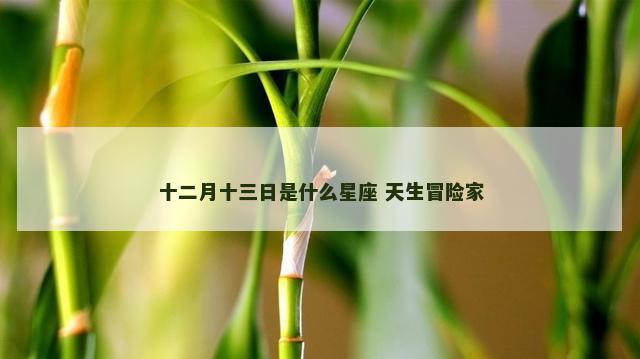 十二月十三日是什么星座 天生冒险家