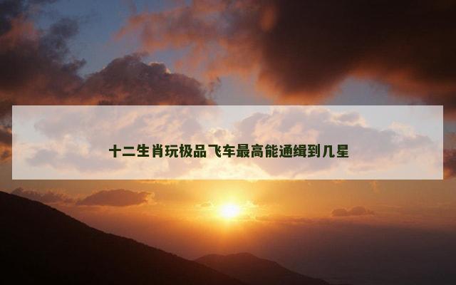 十二生肖玩极品飞车最高能通缉到几星