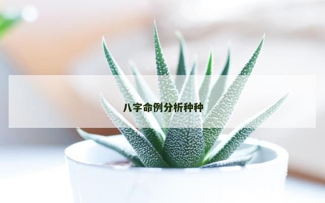八字命例分析种种