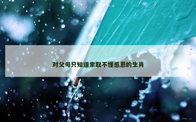 对父母只知道索取不懂感恩的生肖