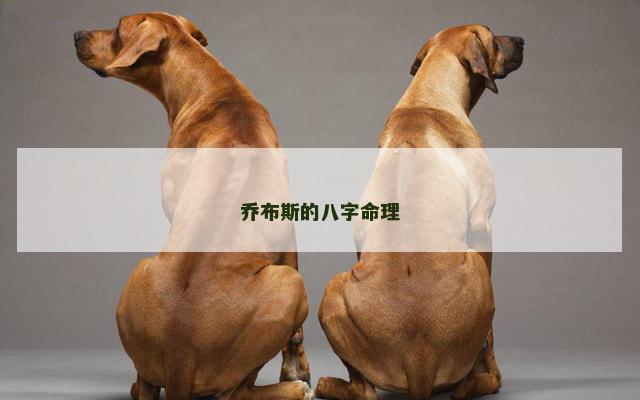 乔布斯的八字命理