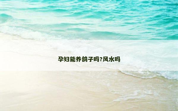 孕妇能养鸽子吗?风水吗