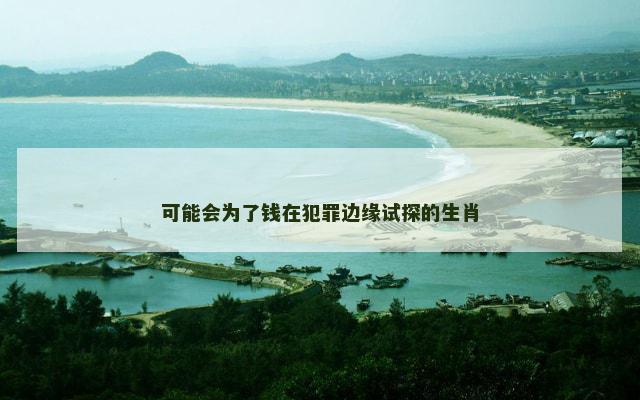 可能会为了钱在犯罪边缘试探的生肖