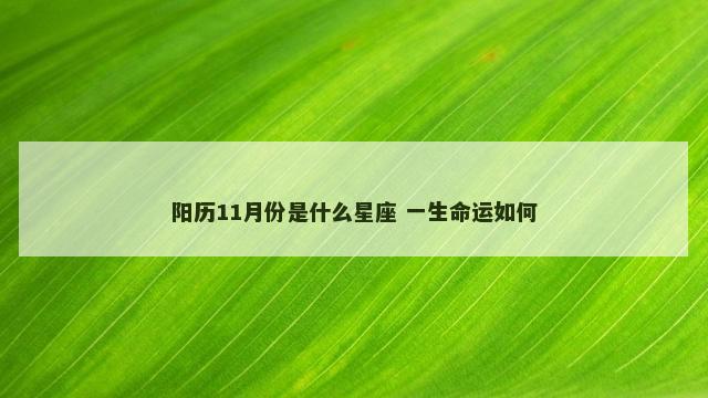 阳历11月份是什么星座 一生命运如何
