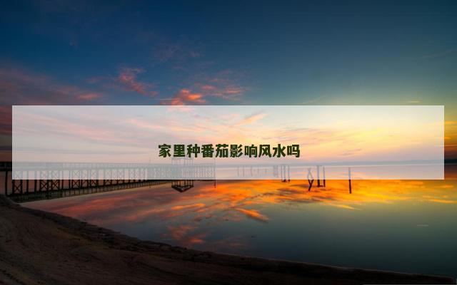 家里种番茄影响风水吗