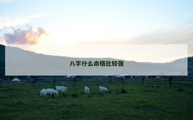 八字什么命格比较强