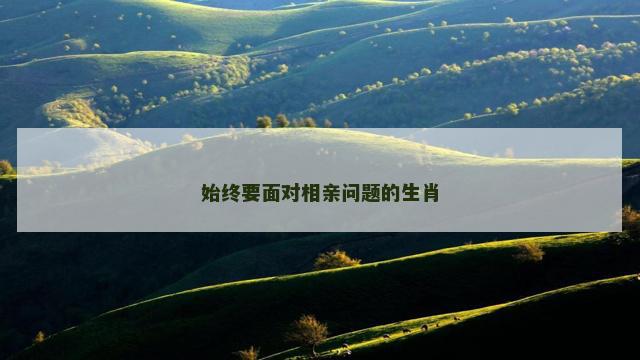 始终要面对相亲问题的生肖