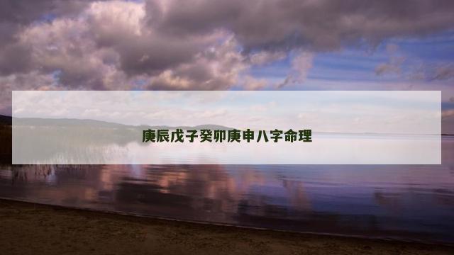 庚辰戊子癸卯庚申八字命理