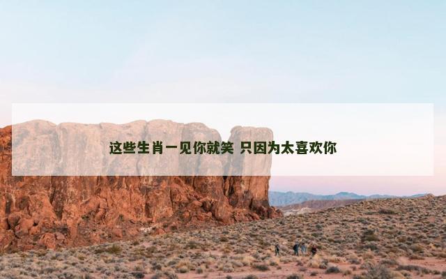 这些生肖一见你就笑 只因为太喜欢你