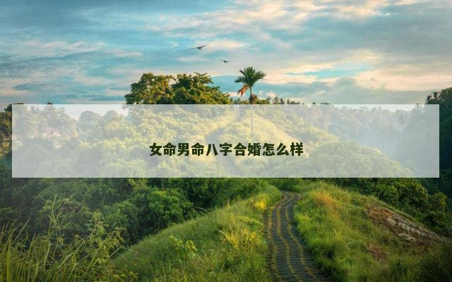 女命男命八字合婚怎么样