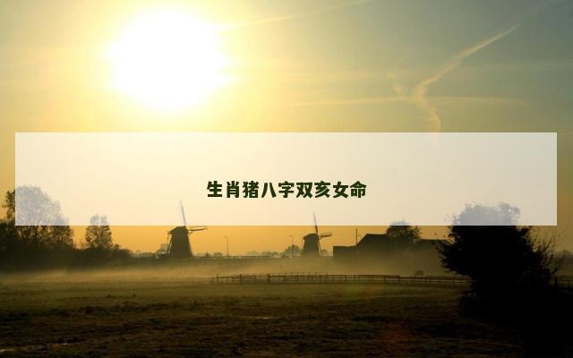 生肖猪八字双亥女命