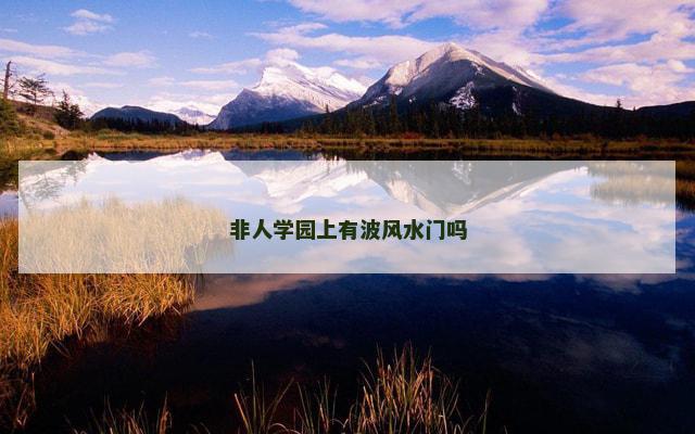 非人学园上有波风水门吗