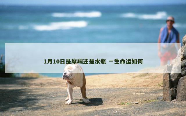 1月10日是摩羯还是水瓶 一生命运如何