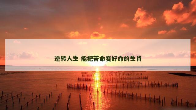 逆转人生 能把苦命变好命的生肖