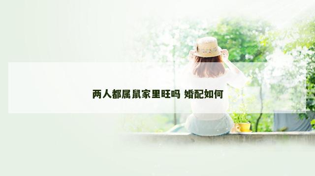 两人都属鼠家里旺吗 婚配如何