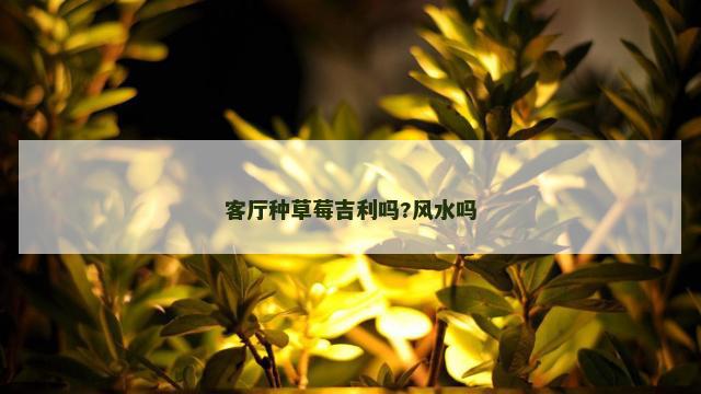 客厅种草莓吉利吗?风水吗