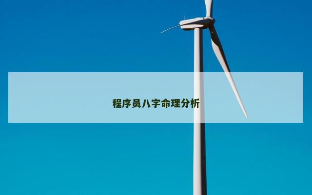 程序员八字命理分析