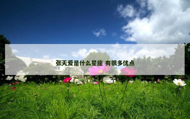 张天爱是什么星座 有很多优点
