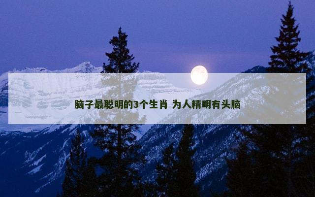 脑子最聪明的3个生肖 为人精明有头脑