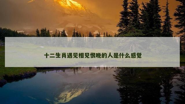 十二生肖遇见相见恨晚的人是什么感觉