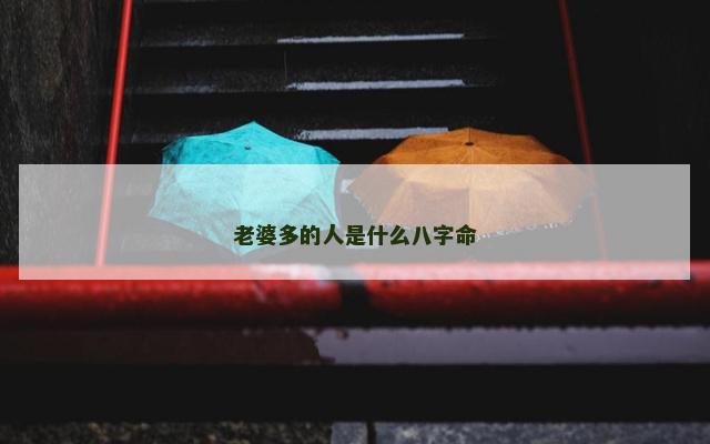 老婆多的人是什么八字命