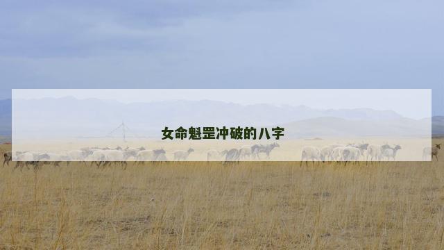 女命魁罡冲破的八字