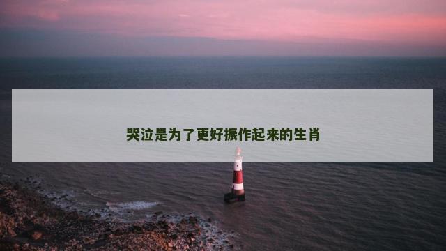 哭泣是为了更好振作起来的生肖