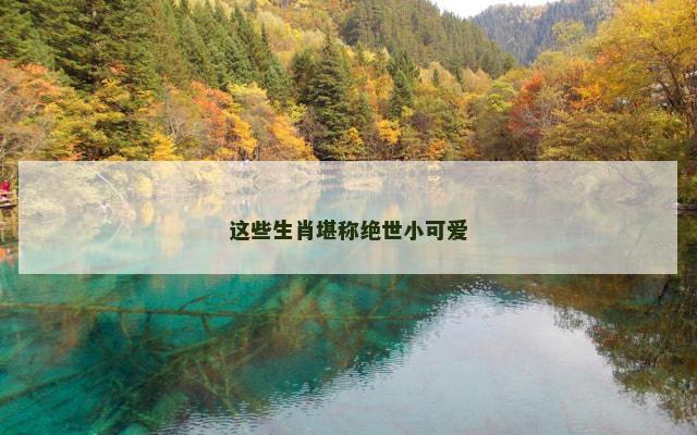 这些生肖堪称绝世小可爱