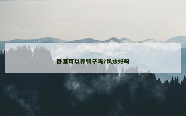 卧室可以养鸭子吗?风水好吗