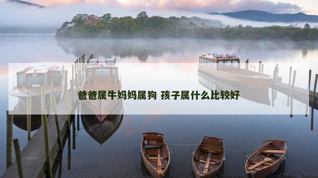 爸爸属牛妈妈属狗 孩子属什么比较好