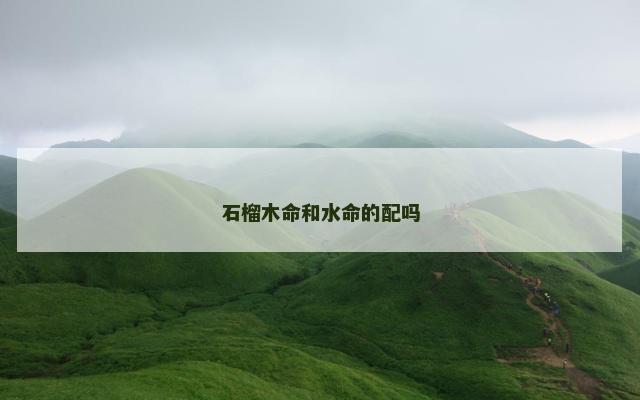 石榴木命和水命的配吗