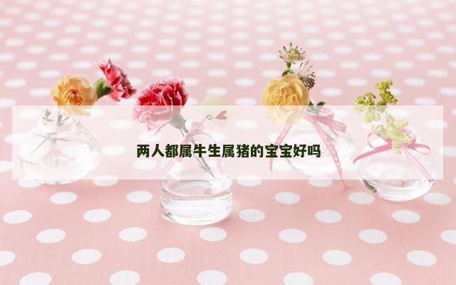 两人都属牛生属猪的宝宝好吗