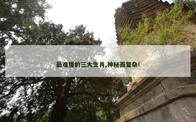 最难懂的三大生肖,神秘而复杂!