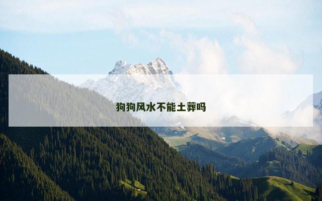 狗狗风水不能土葬吗