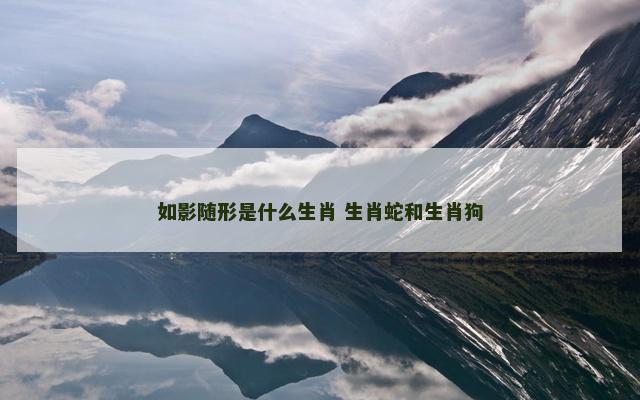 如影随形是什么生肖 生肖蛇和生肖狗