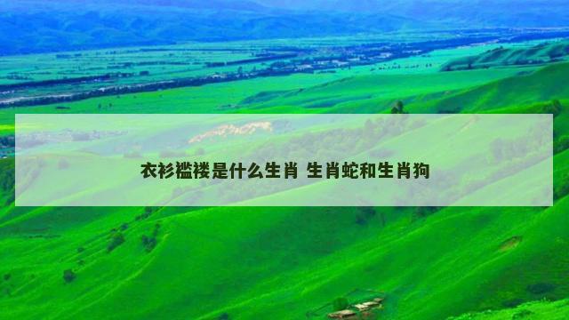 衣衫褴褛是什么生肖 生肖蛇和生肖狗