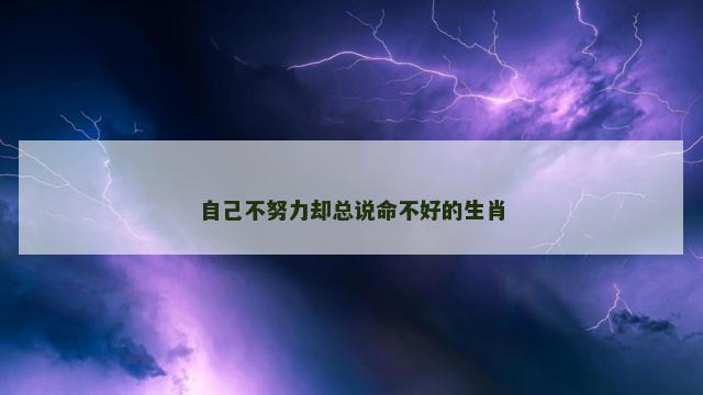 自己不努力却总说命不好的生肖