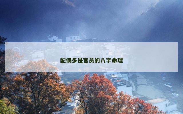 配偶多是官员的八字命理