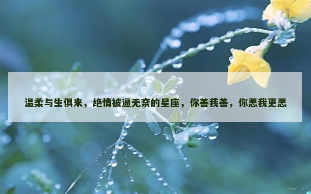 温柔与生俱来，绝情被逼无奈的星座，你善我善，你恶我更恶