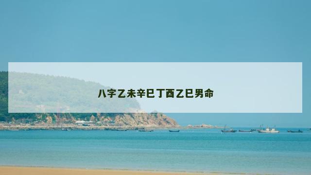 八字乙未辛巳丁酉乙巳男命