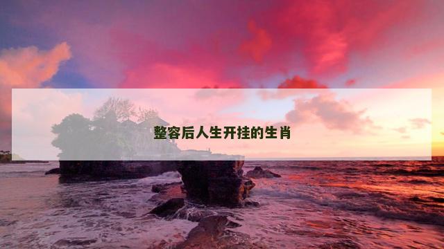 整容后人生开挂的生肖