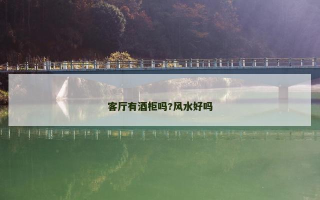 客厅有酒柜吗?风水好吗