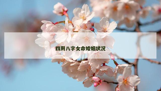 四阴八字女命婚姻状况