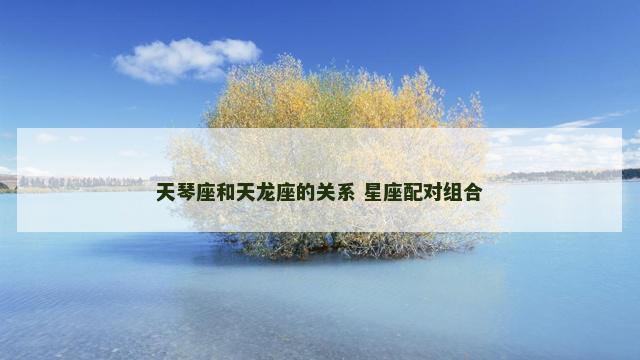 天琴座和天龙座的关系 星座配对组合