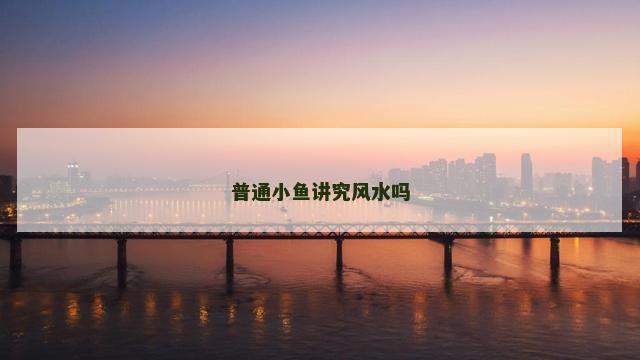 普通小鱼讲究风水吗