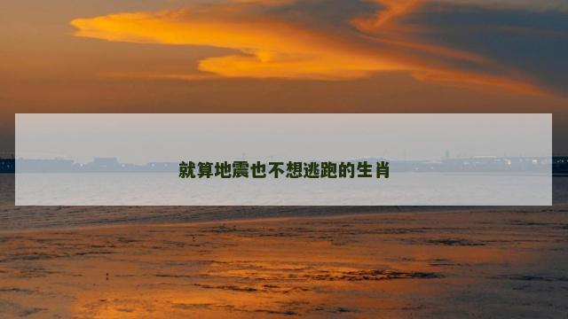 就算地震也不想逃跑的生肖