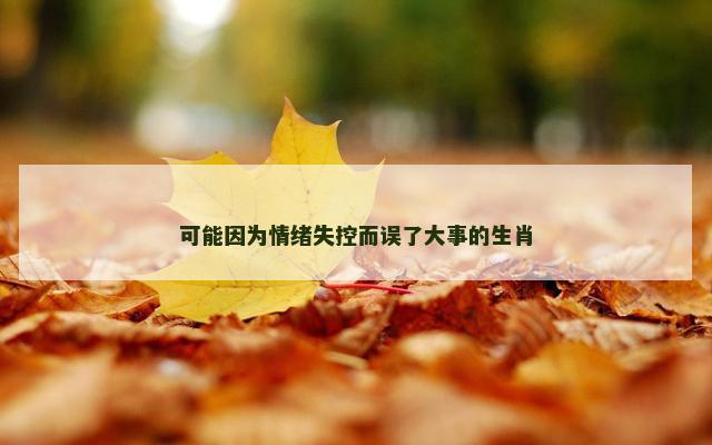 可能因为情绪失控而误了大事的生肖